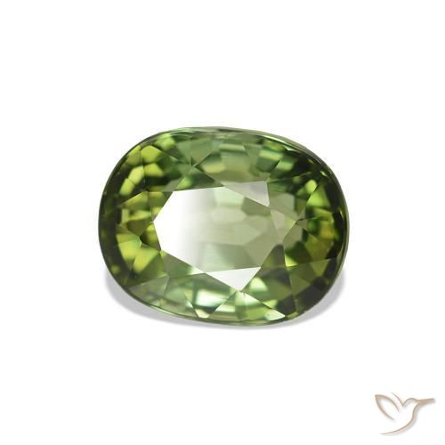 1.67 ct Green Tourmaline Stone, Natural Tourmaline in Oval Facet Shape for Sale
