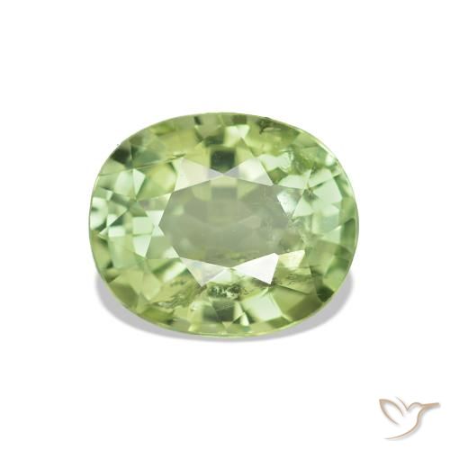 1.73ct Forest Green Tourmaline, Oval, VS-SI