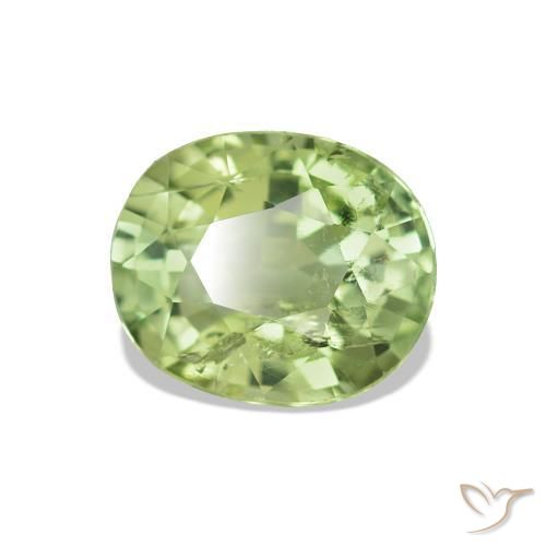 1.73 ct Green Tourmaline Stone, Natural Tourmaline in Oval Facet Shape for Sale
