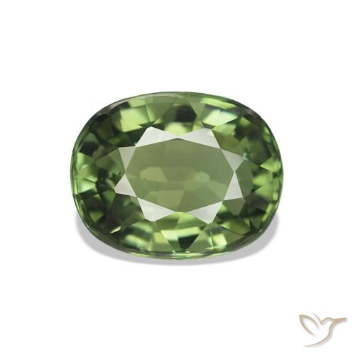 1.46 ct Green Tourmaline Gemstone, Tourmaline Gem in Oval Facet Shape for Sale.