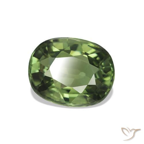 1.46 ct Green Tourmaline Stone, Natural Tourmaline in Oval Facet Shape for Sale