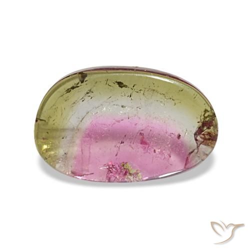 1.66ct Multicolor Tourmaline, Fancy, Transparent