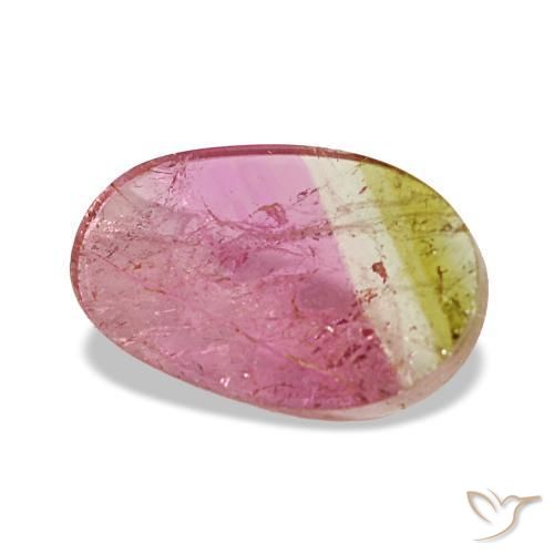 1.59 ct Bi-color Tourmaline Stone, Natural Tourmaline in Oval Cabochon Shape for Sale