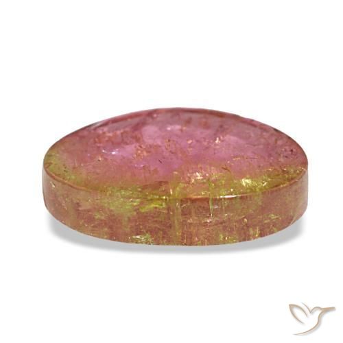 Tourmaline Gemstone in 12.3 x 9.4 mm Size for Sale, Tourmaline Stone in Bi-color Color