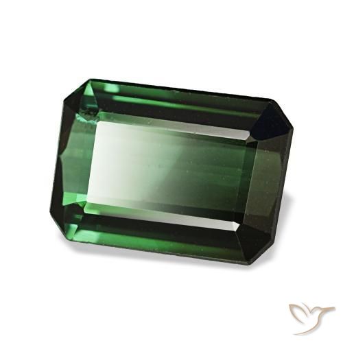 1.42 ct Green Tourmaline Stone, Natural Tourmaline in Octagon Step Cut Shape for Sale