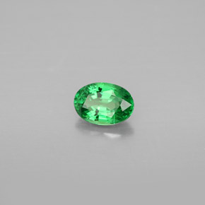 0.67 ct Green Tsavorite Garnet Stone, Natural Tsavorite Garnet in Oval Facet Shape for Sale