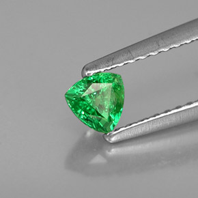 0.34 ct Green Tsavorite Garnet Stone, Natural Tsavorite Garnet in Trillion Facet Shape for Sale