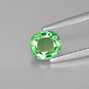 0.64 ct Green Tsavorite Garnet Gemstone, Tsavorite Garnet Gem in Cushion-Cut Shape for Sale.