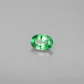 0.56 ct Green Tsavorite Garnet Stone, Natural Tsavorite Garnet in Oval Facet Shape for Sale