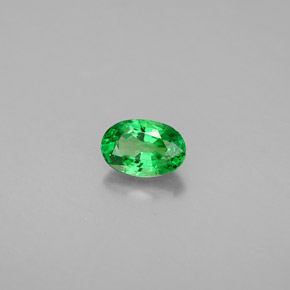 0.71 ct Green Tsavorite Garnet Stone, Natural Tsavorite Garnet in Oval Facet Shape for Sale
