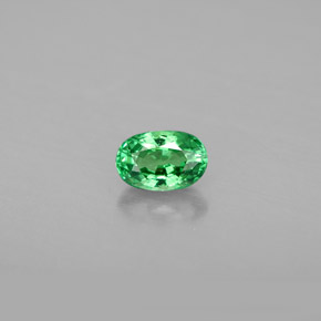 0.64 ct Green Tsavorite Garnet Gemstone, Tsavorite Garnet Gem in Oval Facet Shape for Sale.
