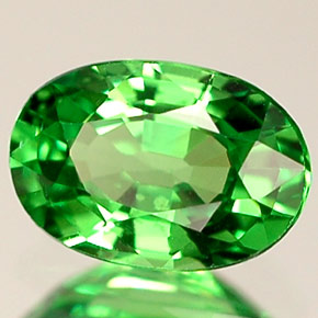 0.64 ct Green Tsavorite Garnet Stone, Natural Tsavorite Garnet in Oval Facet Shape for Sale