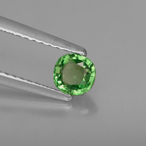 0.43 ct Green Tsavorite Garnet Stone, Natural Tsavorite Garnet in Cushion-Cut Shape for Sale