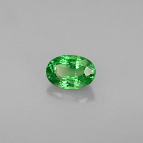 0.68 ct Green Tsavorite Garnet Stone, Natural Tsavorite Garnet in Oval Facet Shape for Sale