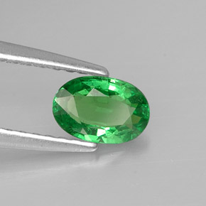 0.56 ct Green Tsavorite Garnet Stone, Natural Tsavorite Garnet in Oval Facet Shape for Sale