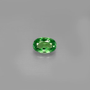 0.62 ct Green Tsavorite Garnet Gemstone, Tsavorite Garnet Gem in Oval Facet Shape for Sale.