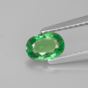 0.55 ct Green Tsavorite Garnet Gemstone, Tsavorite Garnet Gem in Oval Facet Shape for Sale.