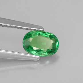 0.55 ct Green Tsavorite Garnet Stone, Natural Tsavorite Garnet in Oval Facet Shape for Sale