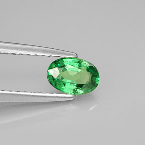 0.54 ct Green Tsavorite Garnet Stone, Natural Tsavorite Garnet in Oval Facet Shape for Sale