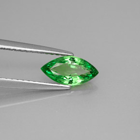 0.83 ct Green Tsavorite Garnet Stone, Natural Tsavorite Garnet in Marquise Facet Shape for Sale