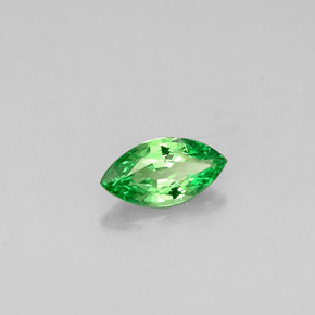 0.26 ct Green Tsavorite Garnet Stone, Natural Tsavorite Garnet in Marquise Facet Shape for Sale