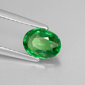 1.05 ct Green Tsavorite Garnet Stone, Natural Tsavorite Garnet in Oval Facet Shape for Sale