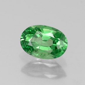 0.64 ct Green Tsavorite Garnet Stone, Natural Tsavorite Garnet in Oval Facet Shape for Sale