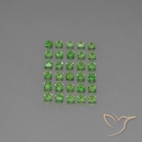 Tsavorite Garnet Gemstones in 2.4 x 2.3 mm Size for Sale, Tsavorite Garnet Stones in Lively Green Color