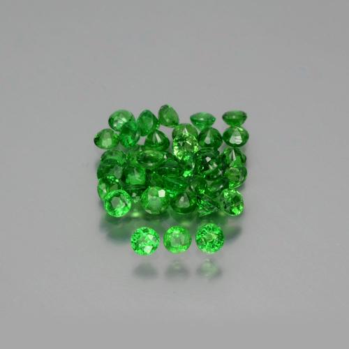 Bright Forest Green Tsavorite Garnet Gem - 0.1ct Round Facet (ID: 390219)