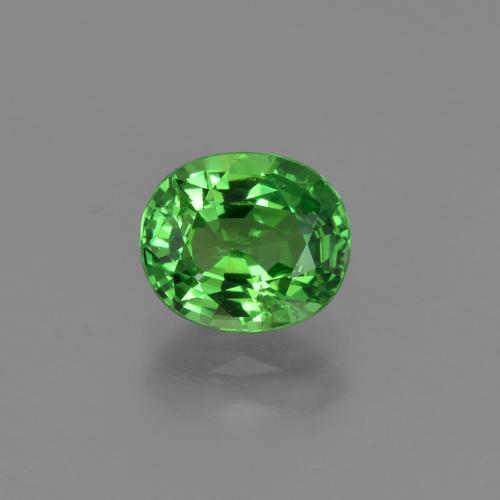 Medium Green Tsavorite Garnet Gem - 1.2ct Oval Facet (ID: 422627)