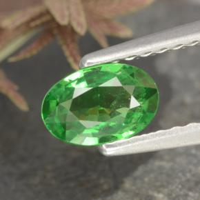 0.5ct Oval Facet Green Tsavorite Garnet Gem for sale 0.5ct Oval Facet Green Tsavorite Garnet Gem (ID: 468854)