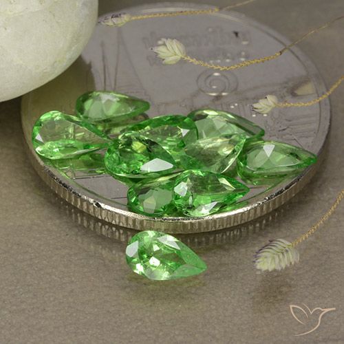 مجموعة من ١٠ قطع من عقيق تسافوريت أخضر كمثرى من تنزانيا - الوزن الإجمالي ١.٦٧ قيراط / المتوسط ٠.١٧ قيراط لكل منها ، الحجم ٥.١ x ٣.١ مم ، اللون: اخضر زاهى ، صلابة موس ٦.٥ - ٧.٥, Photo A