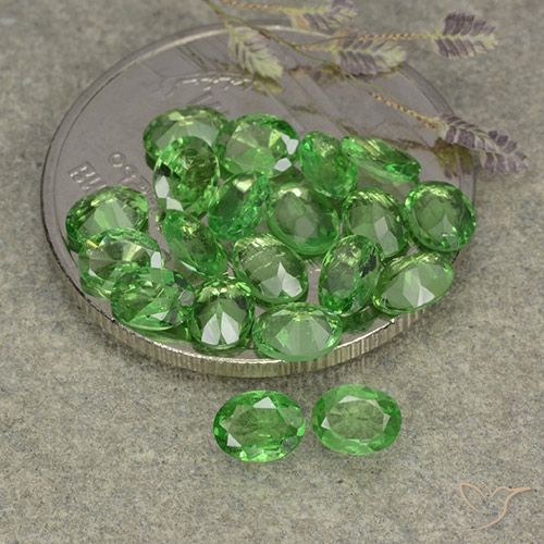 3.04ctw Natural Medium Green Tsavorite Garnet, Oval, VS