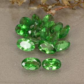 Verde medio Granate Tsavorita Gema - 0.2ct Forma ovalada (ID: 484884)