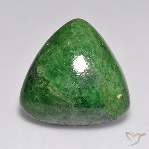 22.65 ct Trillion Tsavorite Garnet, 19 x 18.8 mm From Tanzania, Photo A