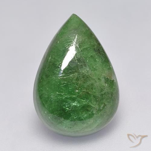 10.68 ct Pear Tsavorite Garnet, 16.9 x 11.9 mm From Tanzania, Photo A