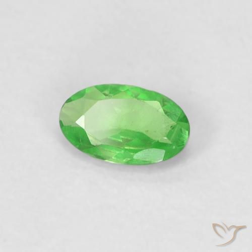 0.27 ct Green Tsavorite Garnet Stone, Natural Tsavorite Garnet in Oval Facet Shape for Sale