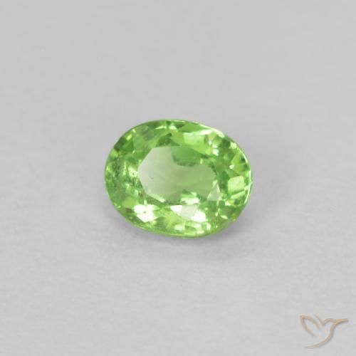 0.22 ct Green Tsavorite Garnet Stone, Natural Tsavorite Garnet in Oval Facet Shape for Sale