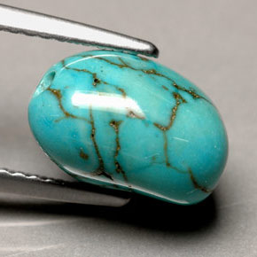 3.66 ct Blue Turquoise Stone, Natural Turquoise in Freeform Flat Plain-Cut Shape for Sale
