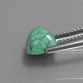 Turquoise Gemstone in 7 x 7 mm (calibrated) Size for Sale, Turquoise Stone in Green Color