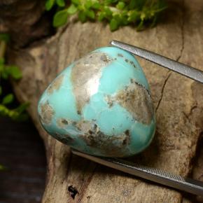 24.5ct Trillion Cabochon Greenish Blue Turquoise for sale thumb image of 24.5ct Trillion Cabochon Greenish Blue Turquoise (ID: 499074)