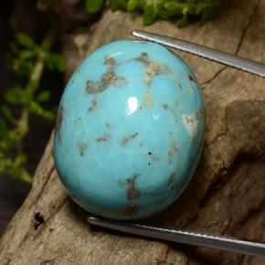 39.7ct Oval Cabochon Blue Turquoise Gem for sale 39.7ct Oval Cabochon Blue Turquoise Gem (ID: 499075)