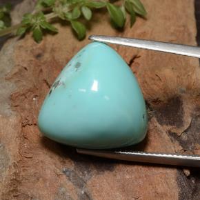 21.9ct Trillion Cabochon Greenish Blue Turquoise for sale thumb image of 21.9ct Trillion Cabochon Greenish Blue Turquoise (ID: 499098)