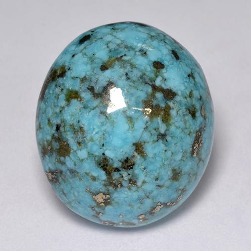 Blue Turquoise 204 Carat Oval From United States Gemstone