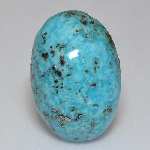 Blue Green Turquoise Gem - 19.3ct Oval Cabochon (ID: 526368)