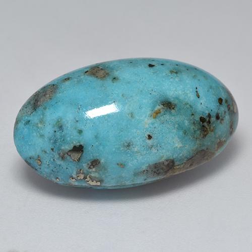 Blue Green Turquoise Gem - 21.3ct Oval Cabochon (ID: 527956)