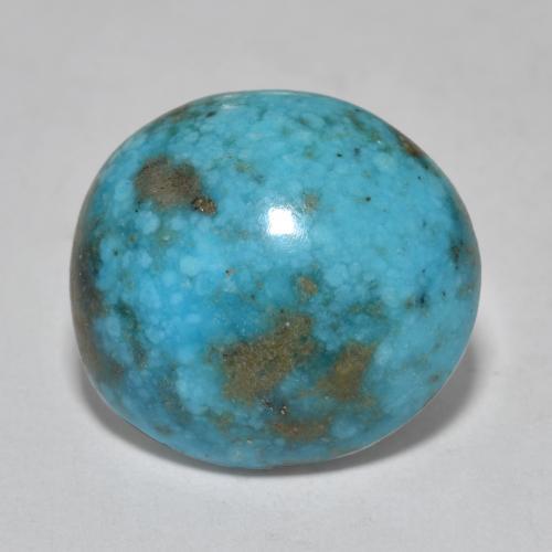 Зеленовато-синий Бирюза Камень - 11.3ct Овал Кабошон (ID: 569727)