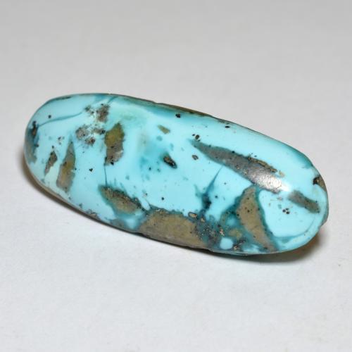 Bright Blue Green Türkis Edelstein - 25.2ct Oval Cabochon (ID: 569875)