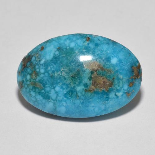 Bright Greenish Blue 绿松石 Gem - 16ct 椭圆形凸面型 (ID: 613277)