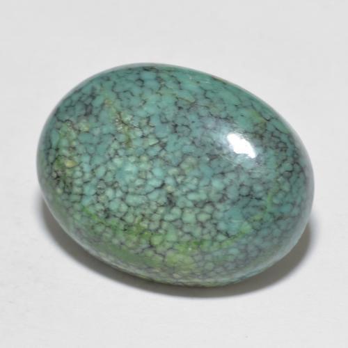 Turquesa Cabujón Óvalo de 9,72 ct de China, Dimensión 19 x 14,2mm, Claridad Opaco, Piedra preciosa natural No tratado, 1 pieza de Turquesa en color Multicolor, Dureza Mohs de 5 - 6, Photo A